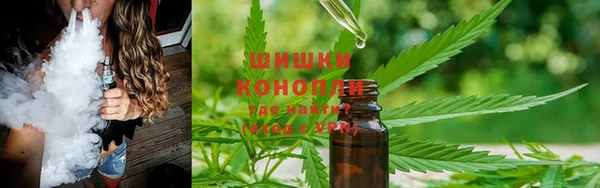 дурь Богданович