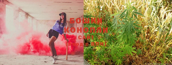 дурь Богданович