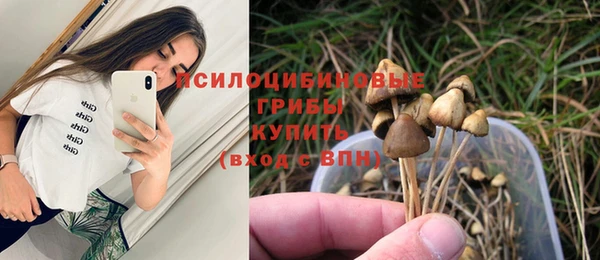 мяу мяу мука Богородицк