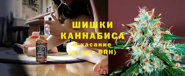 дурь Богданович