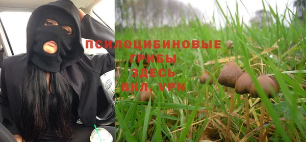 прущие крисы Богородск