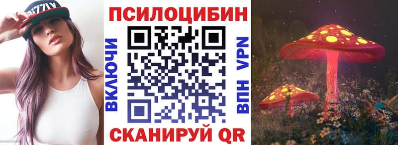 Псилоцибиновые грибы Psilocybine cubensis  Старица 